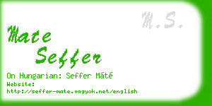 mate seffer business card